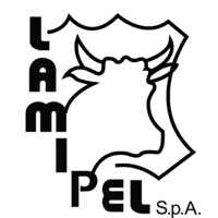 LAMIPEL S.P.A. logo - Similar company to Always Champion Enterprise Co., Ltd.