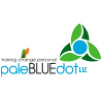 paleBLUEdot llc logo - Similar company to Straight Arrow Consulting Llc