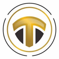 Trisim Global Solutions logo - Similar company to Security Engineers Pvt. Ltd.