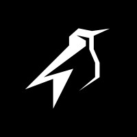 Night Penguins logo - Similar company to Sheep Esports