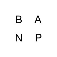 BANP Studio logo - Similar company to Labzona