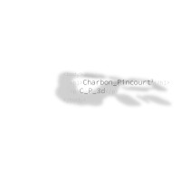 Charbon_pincourt_3d logo - Similar company to Scotomalab Sas