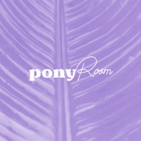 PONYROOM logo - Similar company to Securetasks