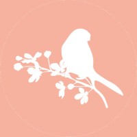 Blossom & Preen logo - Similar company to Beforestores