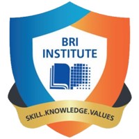 BRI Institute logo - Similar company to Bri Corporate University