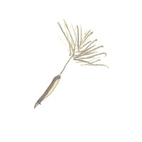 Meegosh Code logo - Similar company to Plusgrowth | Growth Hacking Platform + Growth Hacking Agency