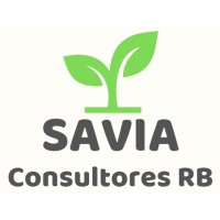 SAVIA Consultores RB logo - Similar company to Turning Consulting Group