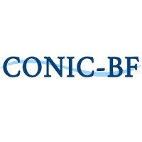 CONIC-BF Ingenieros Civiles Consultores Ltda. logo - Similar company to Eridanus