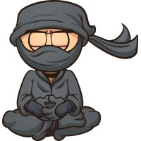 The Virtual Assistant Ninja