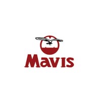 Mavis Construction logo - Similar company to El Basico