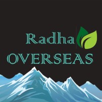 RADHAOVERSEAS logo - Similar company to Indian Tools Engineering