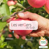 Les Vergers Du Sud logo - Similar company to Stanor