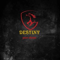 Destiny Your Choise logo - Similar company to Destiny Trainers