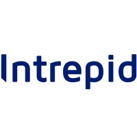Intrepid Data Systems logo - Similar company to Malakoff Analytics Consulting