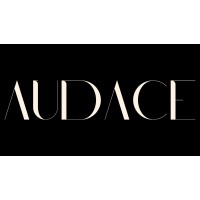 Audace Boutique logo - Similar company to Mm Tech Systems, Llc