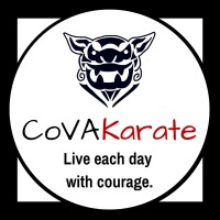 CoVa Karate -  Adult Martial arts for Professionals  [ Virginia Beach  & Hampton Roads ] logo - Similar company to Dare'S Martial Arts
