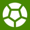 Finance In Sport