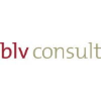 blv consult logo - Similar company to Blv Consulting Group