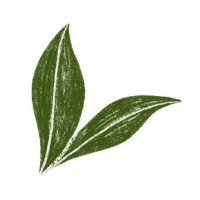 HappySoaps logo - Similar company to Synsel Techniek