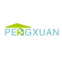 Nanning Pengxuan International Company Ltd, CO. logo - Similar company to Nanning Yolong Technology Co.Ltd