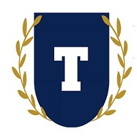 The Trading Techniques logo - Similar company to Trading Analysts