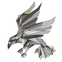 Raven Vox Ltd. logo - Similar company to Jong Management Rotterdam