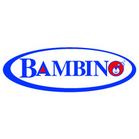 Bambino International (Pty) Ltd logo - Similar company to Beyond Transform