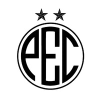 PECON Patrick Eheim Consulting