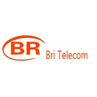Hefei Bri Electronic & Technology Co.,Ltd logo - Similar company to Bri Experience Technology
