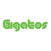 GIGATOS IT Solutions Private Limited logo - Similar company to Visture