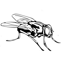 Tekhne Studio logo - Similar company to Globout
