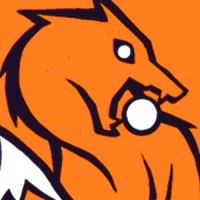 Skazka Games Studio logo - Similar company to Play And Learn Lab