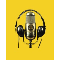 The Voiceover Factory logo - Similar company to Rooted Influence Consulting
