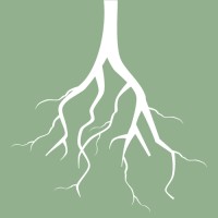 Maple Roots Virtual Services