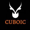 Cuboic logo - Similar company to Rgpvprep