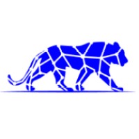 BLU PANTERA logo - Similar company to Aimvision Solutions, Inc.