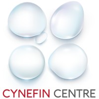 The Cynefin Centre logo - Similar company to Complexity Fit