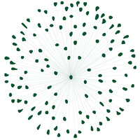 Arcadia Green Solutions