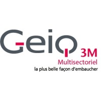 GEIQ 3M Multisectoriel logo - Similar company to Setram Le Mans