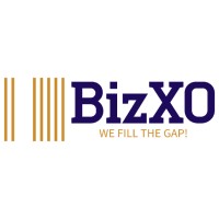 BizXO Services logo - Similar company to Comdriver Tech