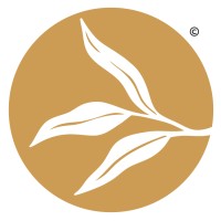 Willow Bend Title Company logo - Similar company to Supreme Auctions