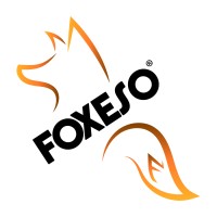 FOXESO logo - Similar company to Finančníci