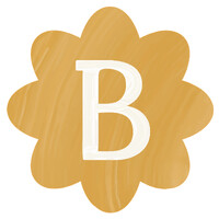 Brightly Creative Co. logo - Similar company to La Visual Studios