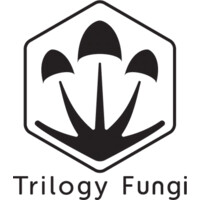 Trilogy Fungi logo - Similar company to Blkbeard Esthetics