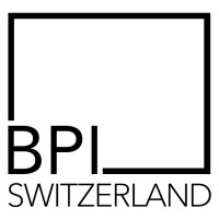 BPI - BullsPower Invest LLC logo - Similar company to Caixanova