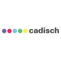 Cadisch Precision Meshes Ltd. logo - Similar company to Multimesh (Uk) Ltd