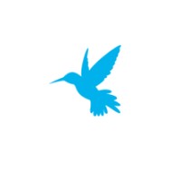 Caymland Technologies AG logo - Similar company to Open The Windows