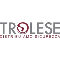 Trolese srl logo - Similar company to Pinta Group Srl