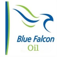 Blue Falcon Oil SA logo - Similar company to Missing Link