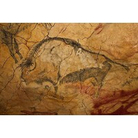 Crónica de Arqueología logo - Similar company to Tallercv – Cvs Y Linkedin Con Los Que Sí Te Llaman
